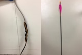 Bow from home intruder shooting