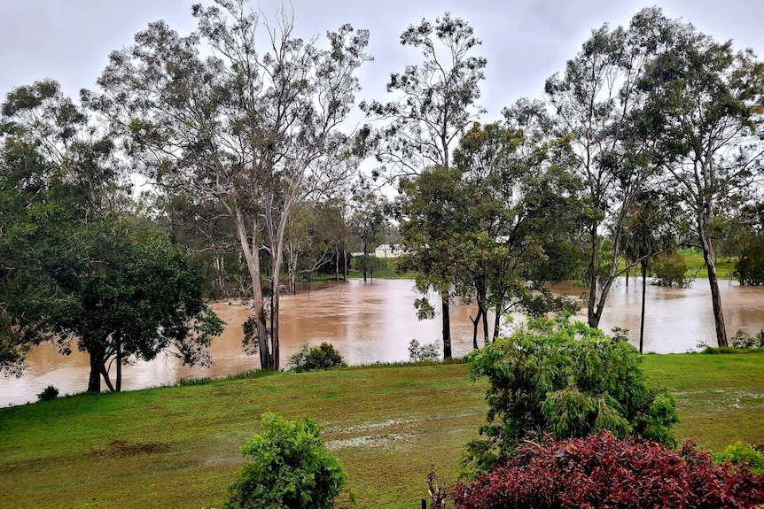 Brown water levels high in a creek 