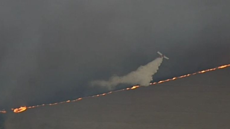 A plane flies over a field waterbombing a line of bushfire
