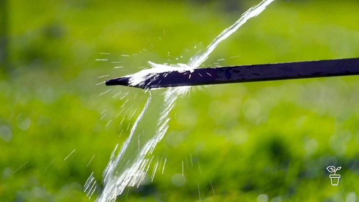 Wooden stake being hosed off in a garden