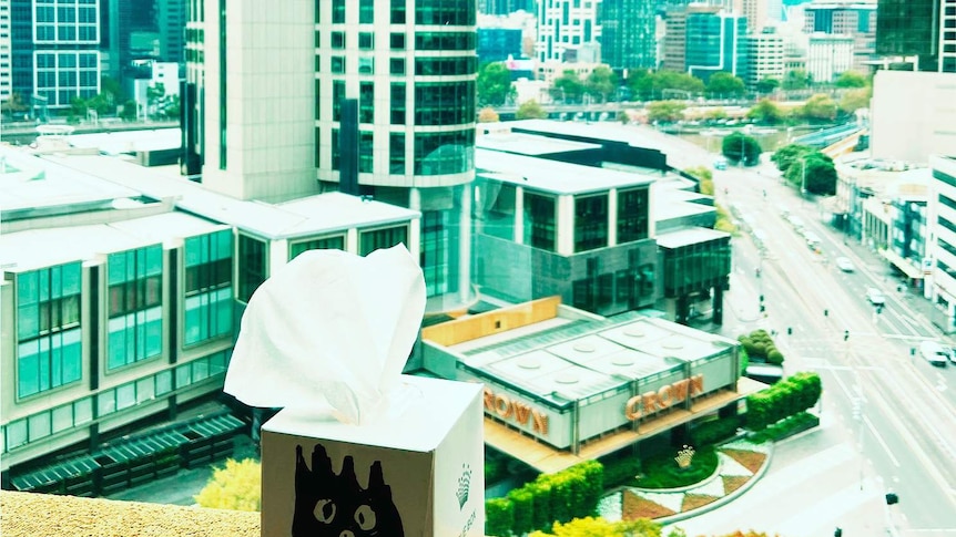 A tissue box with Wilson, from Castaway, drawn on it, but Kate in hotel quarantine