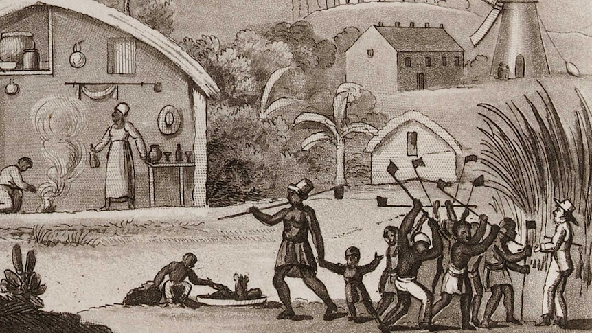 A sepia drawing showing African men chopping sugarcane as a white man looks on, with houses and a windmill in the background