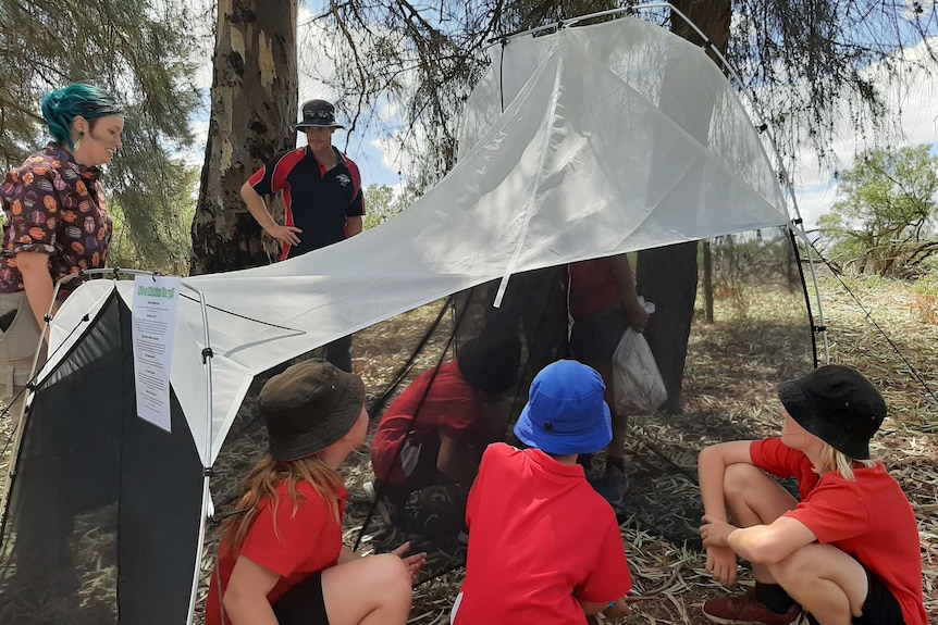 A large see through tent with a white roof is sitting in the middle of a group of teachers and students. There are trees around.