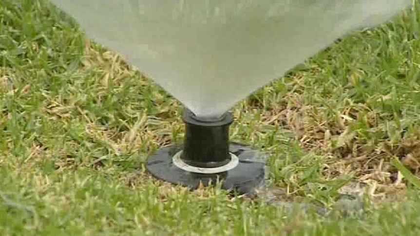 You can keep your garden alive and healthy with just two watering days.