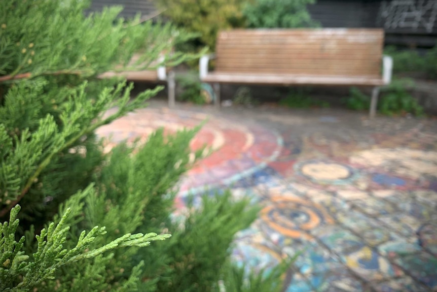 A small green bush in the foreground with a park bench in the distance out of focus.