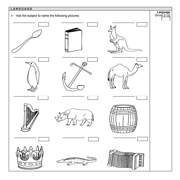 Cognitive test