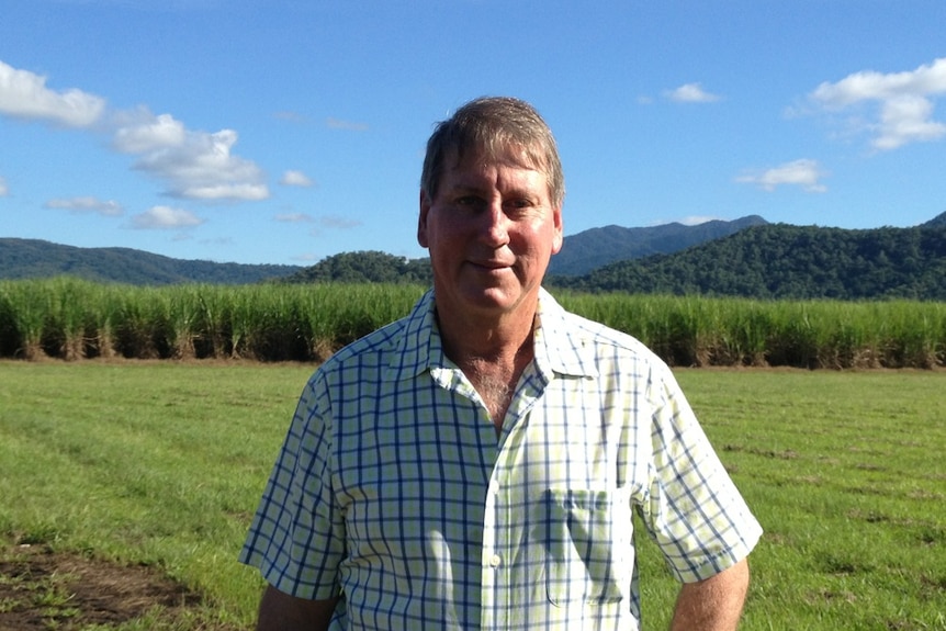 Canegrowers Mossman chairman Drew Watson