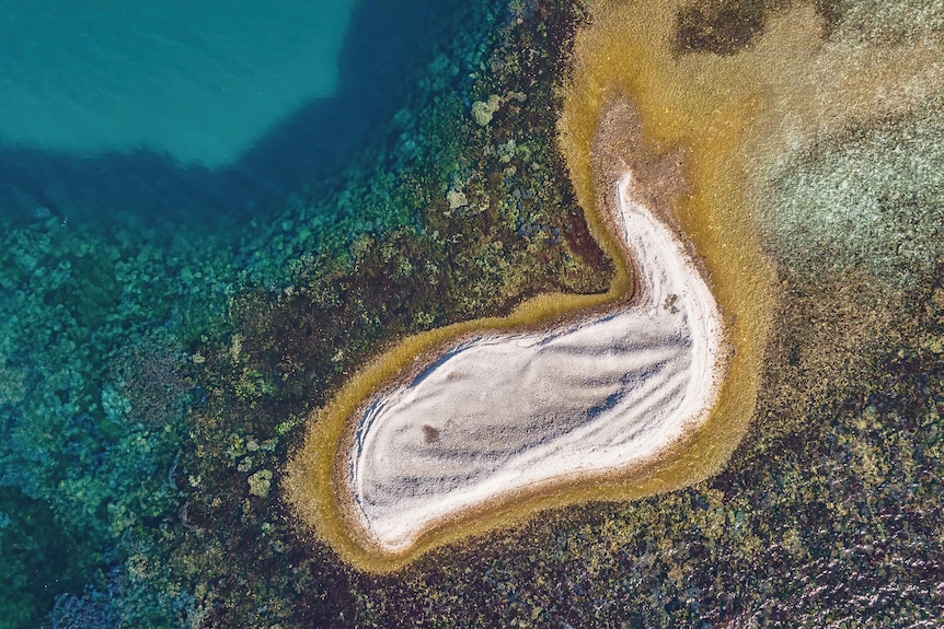 An aerial view of a sandy island surrounded by water