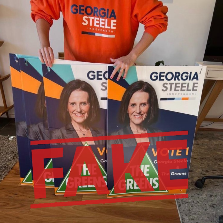 A volunteer for Georgia Steele's campaign holds several fake corflutes featuring the Australian Greens logo.