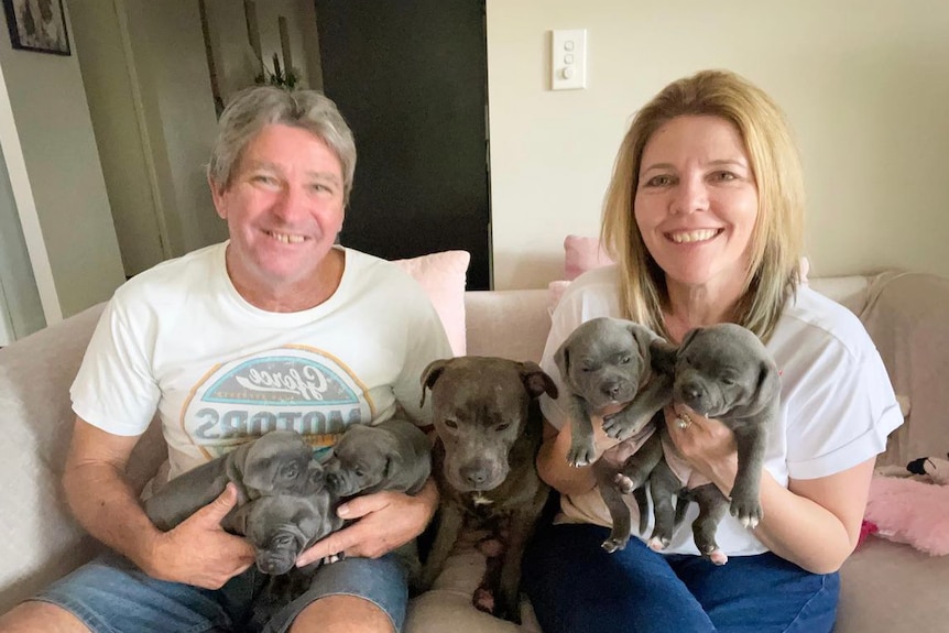 A man and a woman sit with a dog and puppies