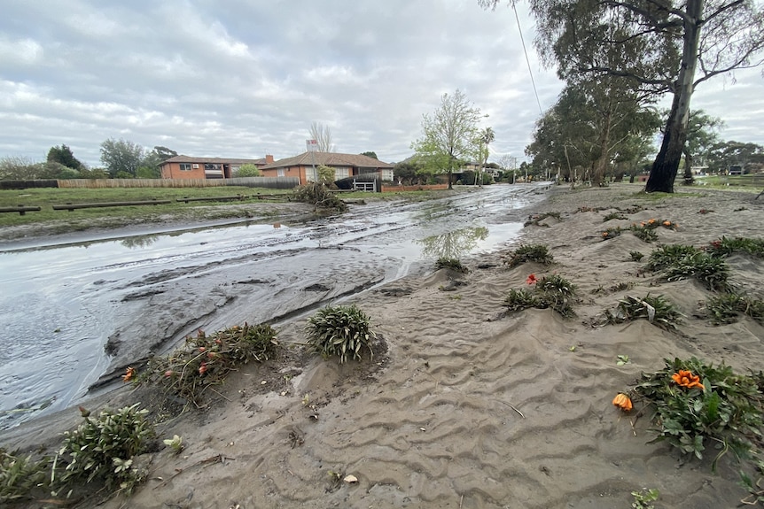 Mud in front of a river.