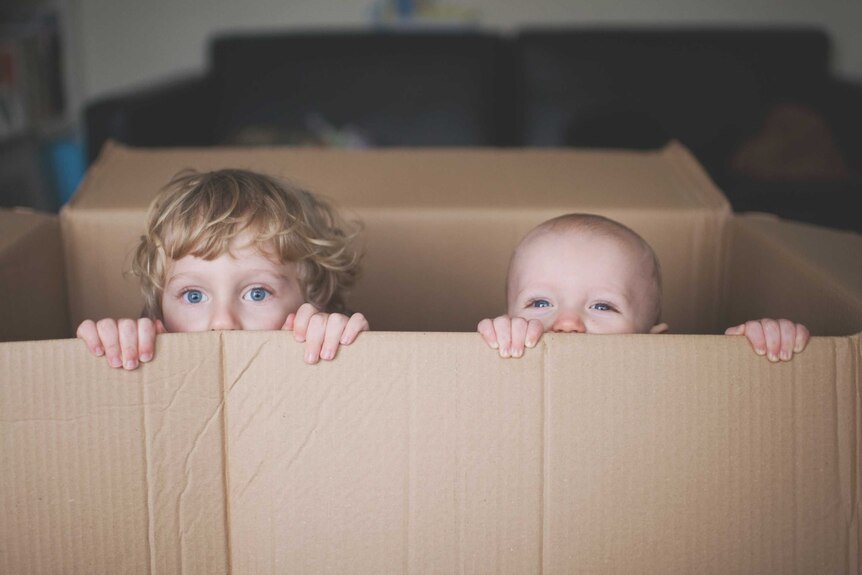 A small child and toddler peer out of a cardboard box.