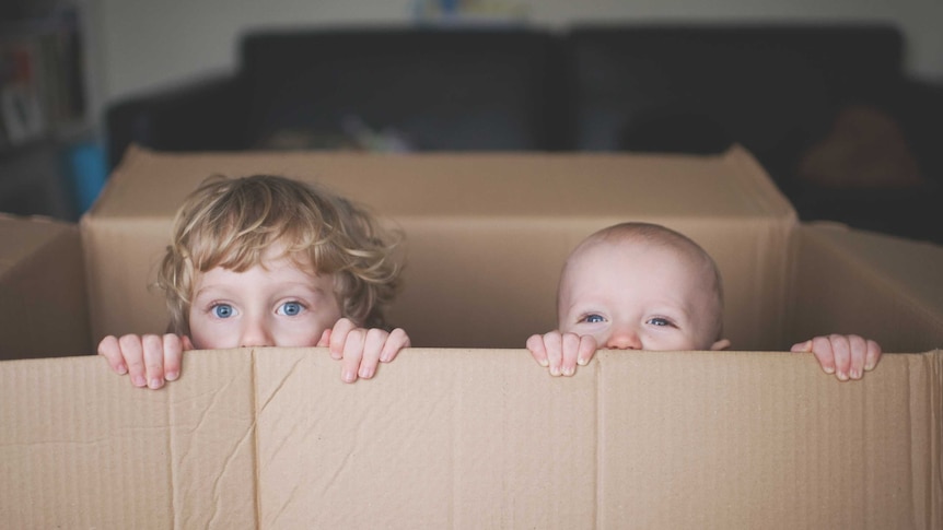A small child and toddler peer out of a cardboard box.