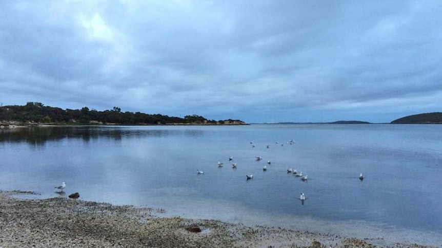 A tranquil morning at Coffin Bay on Eyre Peninsula in South Australia.
