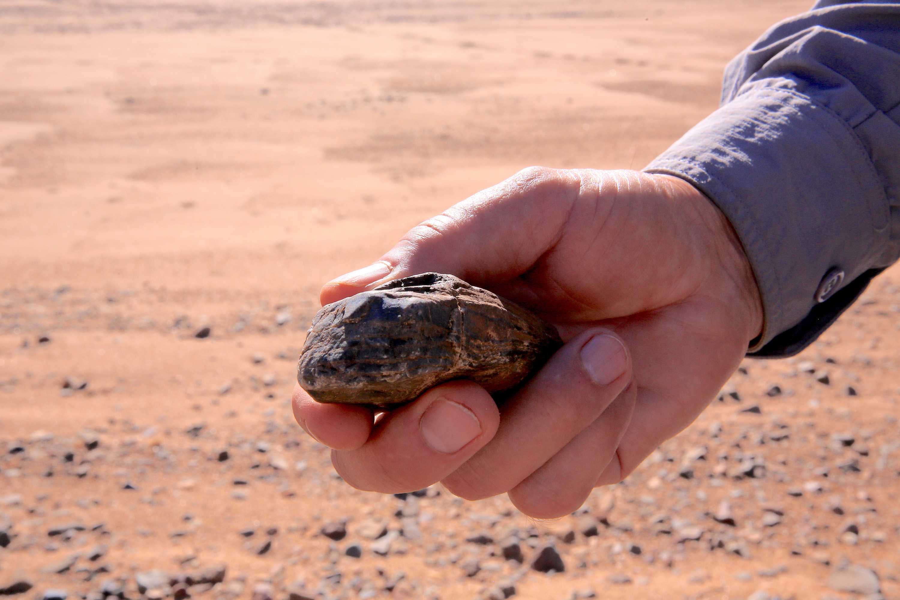 NASA Research In Western Australia Could Hold Key To Finding Life On ...