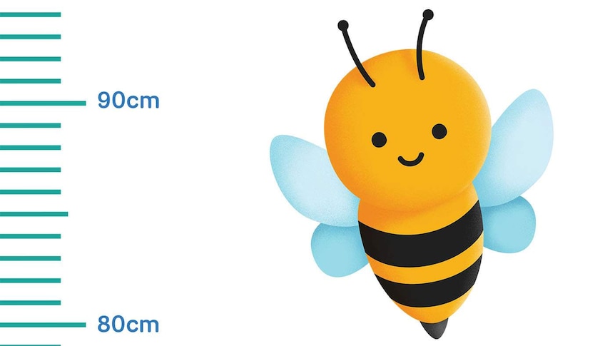 The ABC Kids bee alongside a ruler marker showing 1cm increments