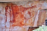 A red ochre painting, which depicts two emu-like birds with their necks outstretched