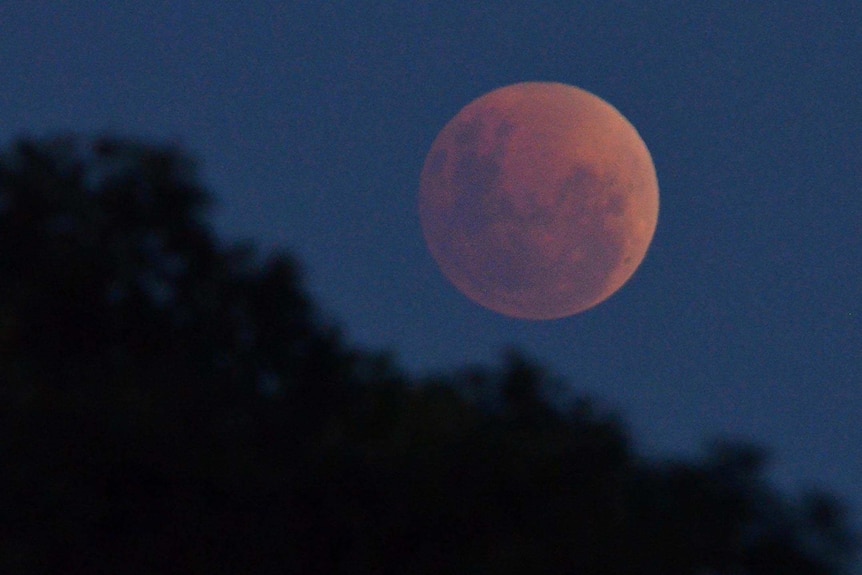 Blood moon rises over Brisbane