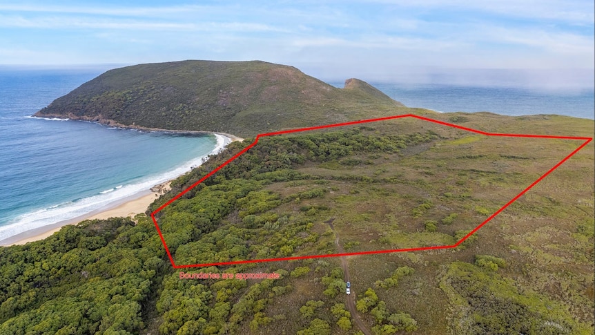 A red line indicates boundaries on a block of land next to a beach and a headland.