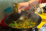 Cooking with an electric wok