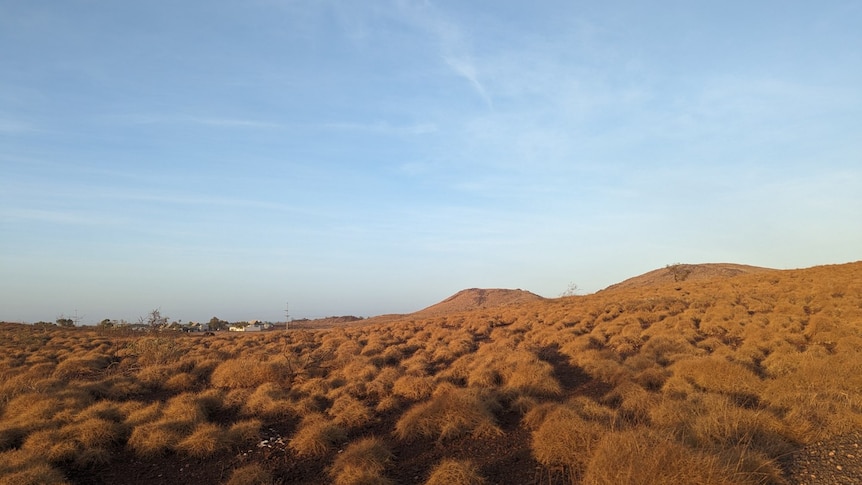 A landscape shot of red earth and blue sky, buildings can be seen in the far distance.