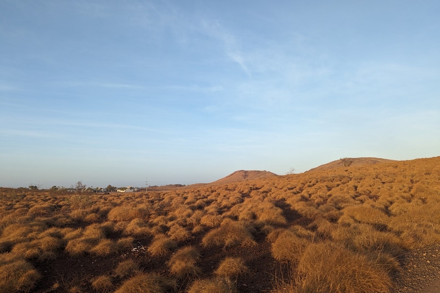 A landscape shot of red earth and blue sky, buildings can be seen in the far distance.