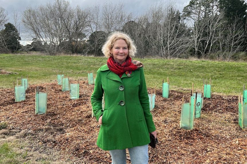 A woman in green coat, red scarf, smiles standing in park with tree saplings in bed of mulch.