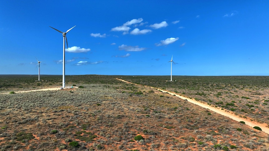 Aerial shot of a wind farm 