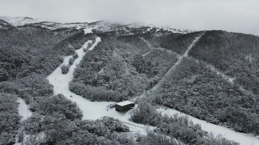 A snowy mountain and ski slopes.