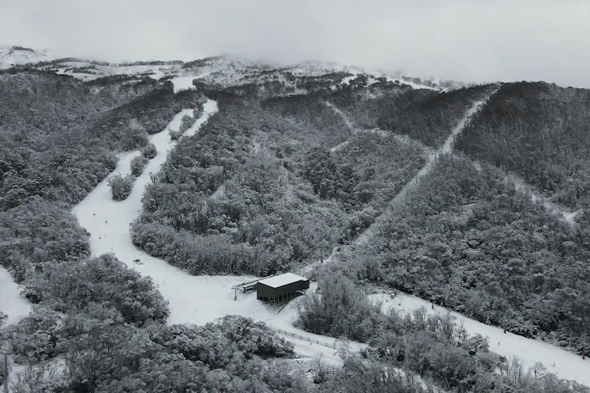 A snowy mountain and ski slopes.