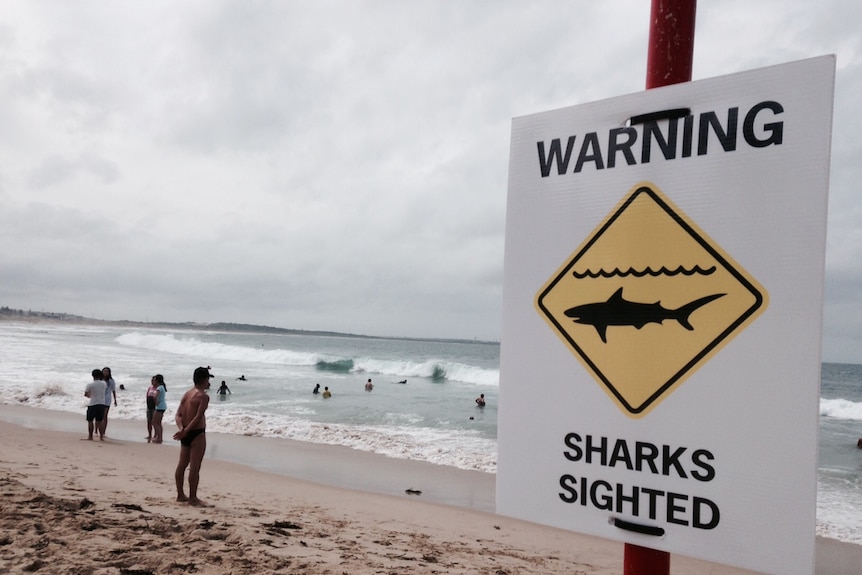 A sign at Cronulla Beach advises swimmers the beach is closed.
