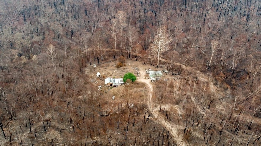 A green tree and mudbrick home surrounded by kilometres of burnt forest in Upper Brogo NSW.