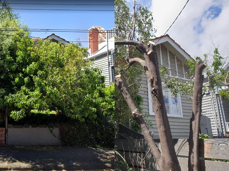 A composite image showing a house almost completely covered by tree folage and they the trees stripped almost bare.