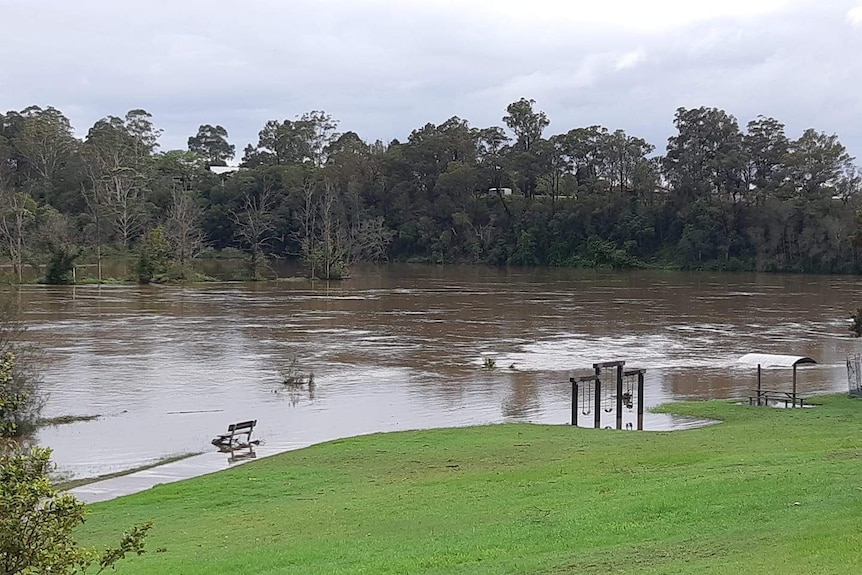 Flooding at Rocks Ferry Park in Wauchope.