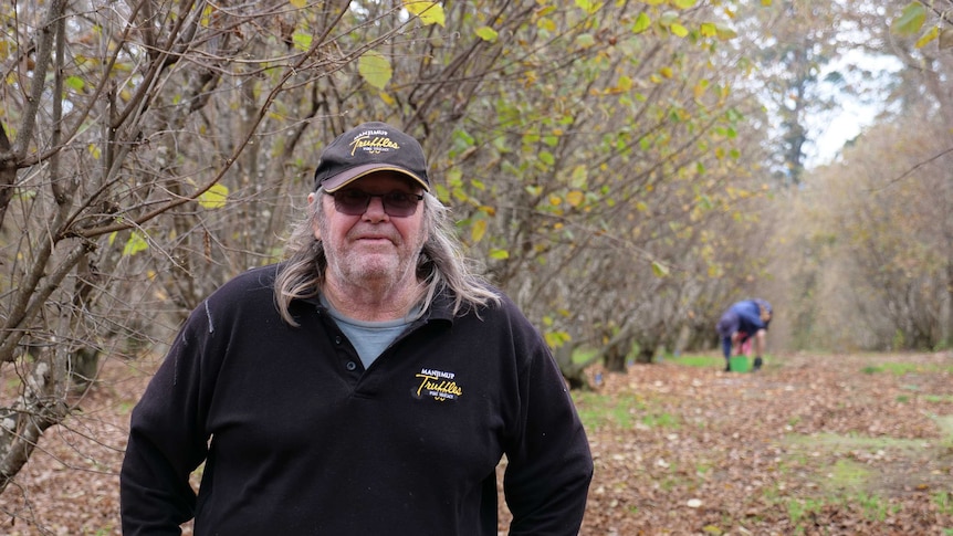 Al Blakers stands in his Manjimup truffle orchard