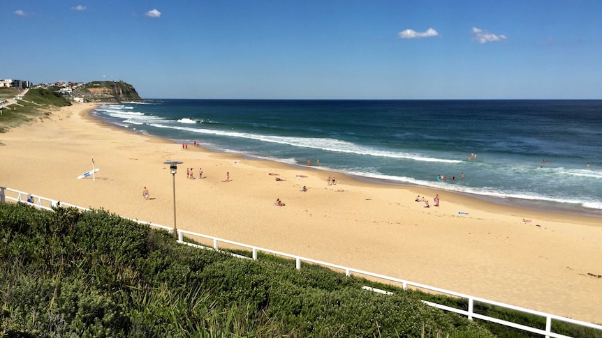 Merewether Beach closed because of shark sighting