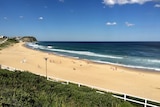 Merewether Beach closed because of shark sighting