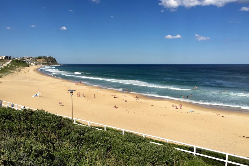 Merewether Beach closed because of shark sighting