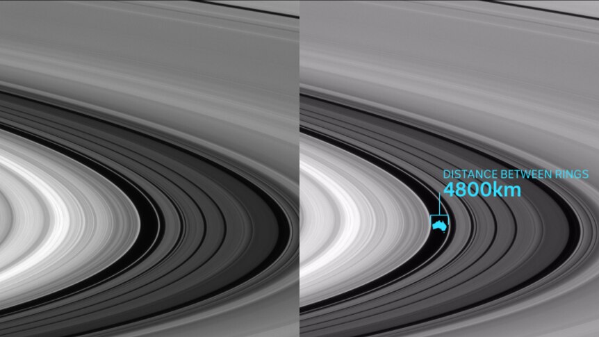 A composite image comparing the size of Australia to Saturn's rings.