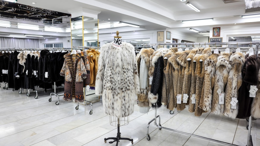 Fur coats are displayed in the showroom 