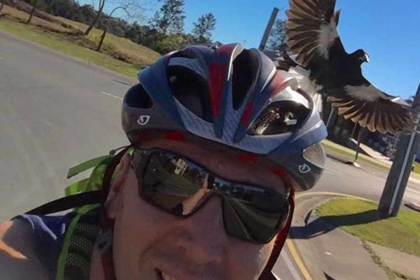 Brisbane cyclist takes selfie while being swooped by a magpie