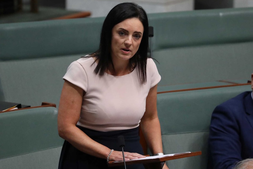 Emma Husar stands at her seat in the House of Representatives, with one hand on a lectern and the other on the desk.
