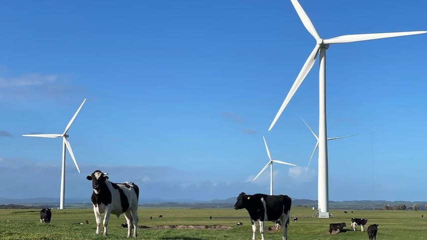 The Bald Hills Wind Farm, near Tarwin Lower, started operating in 2015.