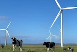 The Bald Hills Wind Farm, near Tarwin Lower, started operating in 2015.