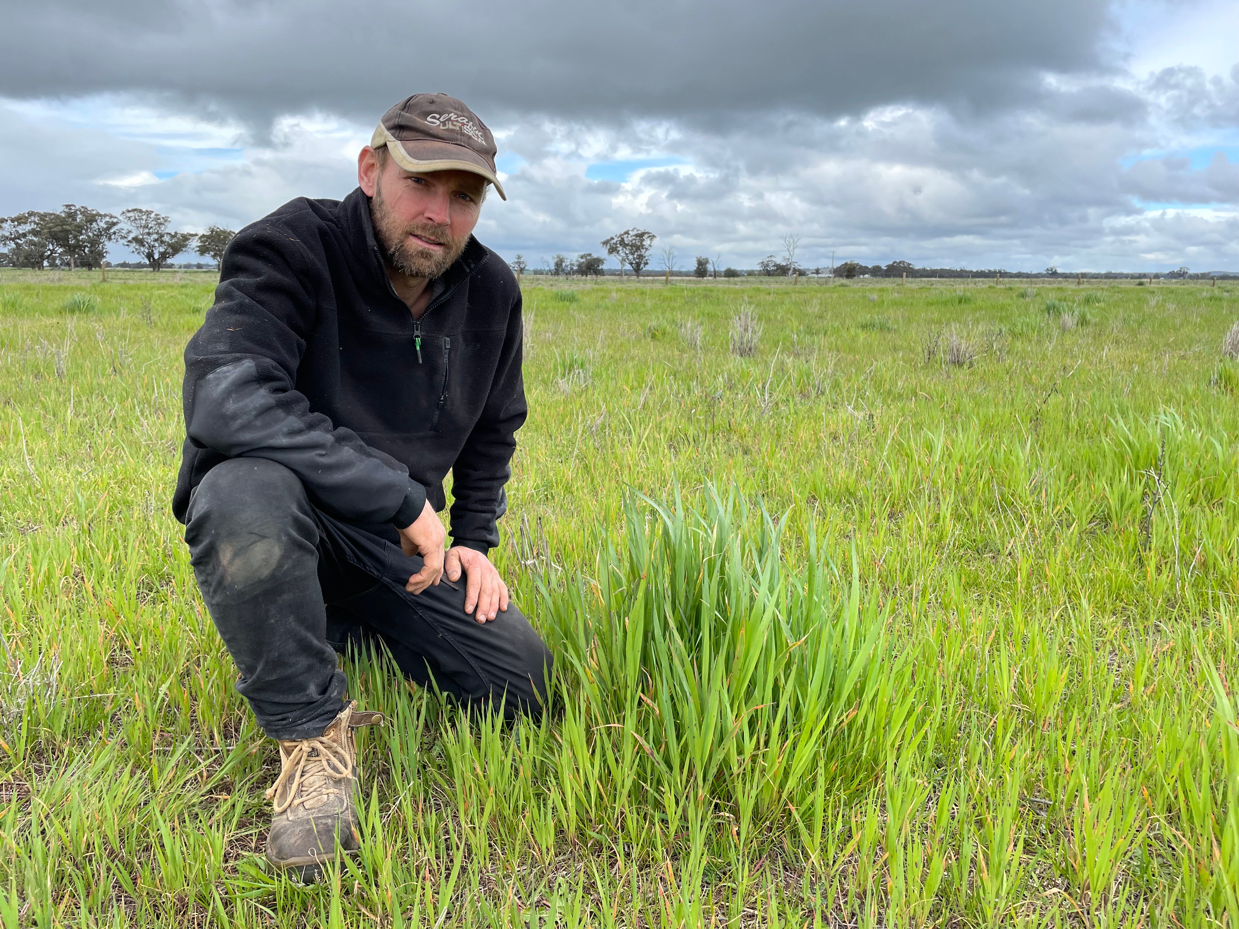 A man in work gear and a cap kneels in a paddock.