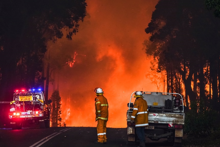 Firefighters on a road lit up by a huge blaze at night
