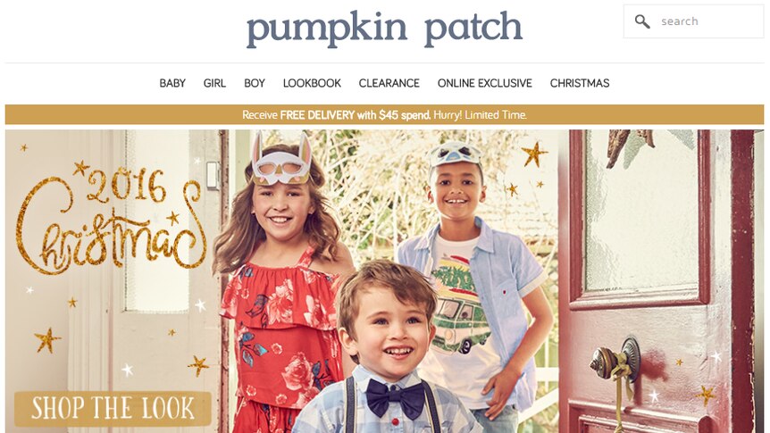 Pumpkin Patch website