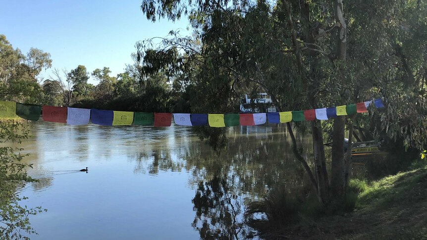 Colourful prayer flags hang between gum trees at the edge of a river. A duck swims by and two boats are behind the trees.