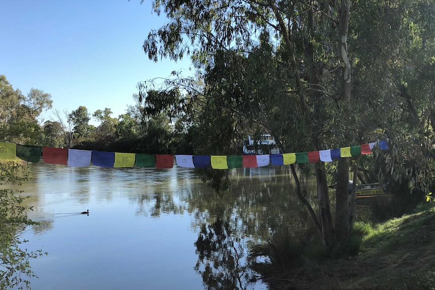 Colourful prayer flags hang between gum trees at the edge of a river. A duck swims by and two boats are behind the trees.