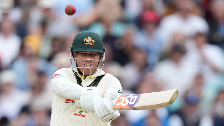 David Warner squints as he plays a cross bat shot that sends the ball into the air